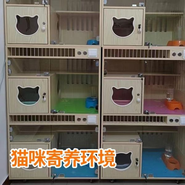 武汉宠物托运