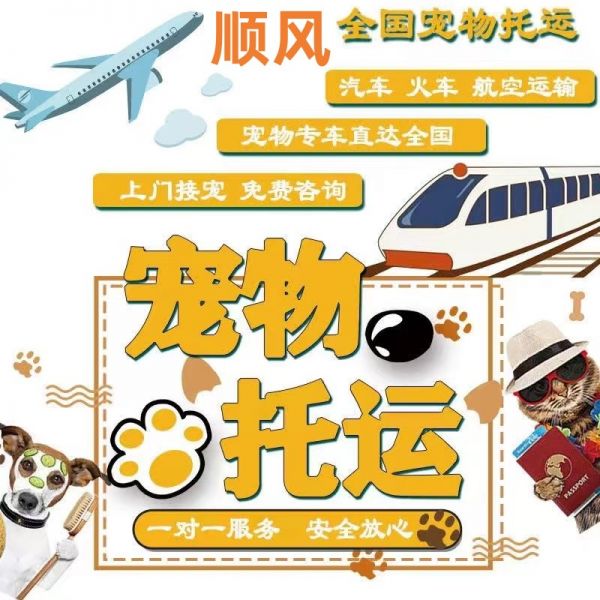 武汉宠物托运