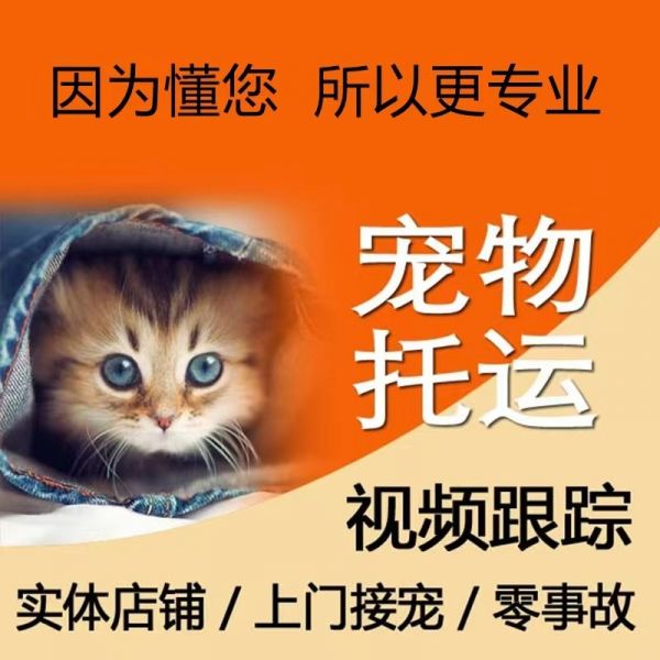 武汉宠物托运