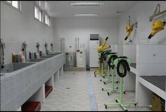 宠物医院装修温馨风格效果图6