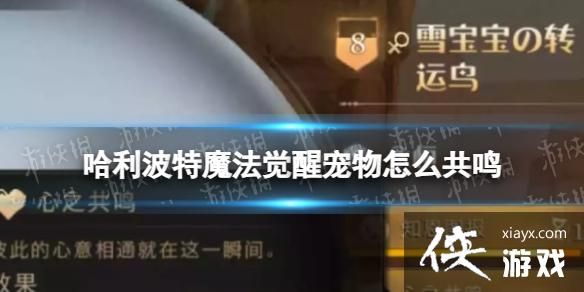 哈利波特魔法觉醒宠物怎么共鸣