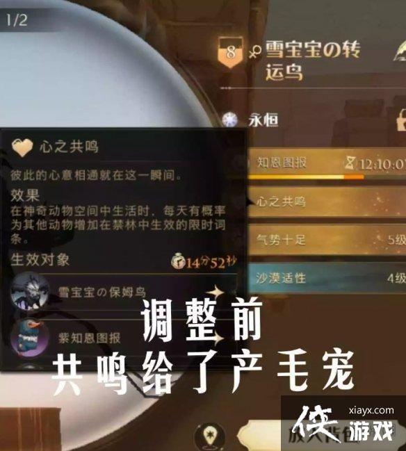 哈利波特魔法觉醒宠物怎么共鸣