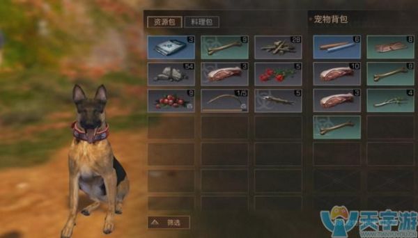 关于明日之后狗怎么选的方法