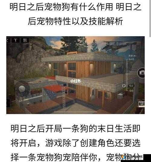 明日之后宠物狗玩法介绍 伴你冒险与实战探索