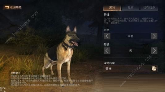 明日之后狗哪个好用 宠物狗选择推荐[多图]图片2_游戏潮