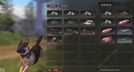 明日之后狗有什么用 宠物狗作用介绍[多图]图片3_游戏潮