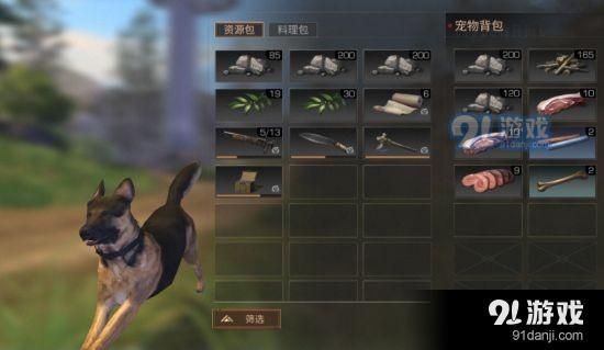 明日之后宠物狗怎么使用 明日之后宠物狗玩法攻略解析