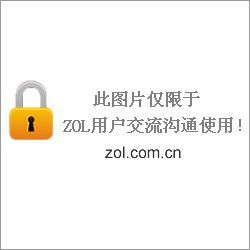小型宠物是最小的宠物