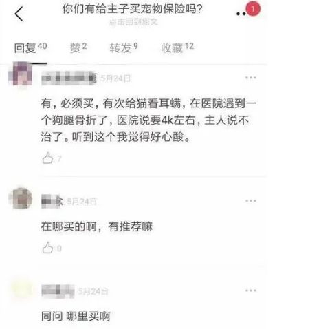 靠宠物赚钱的冷门生意