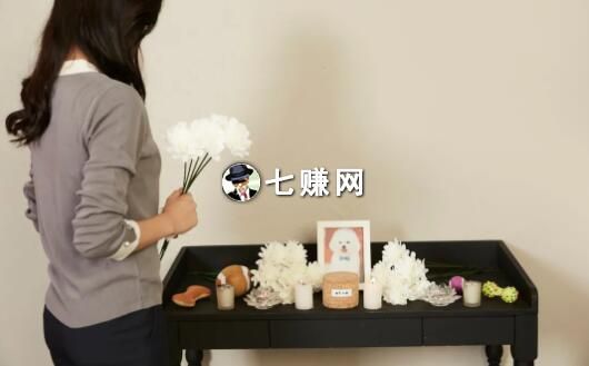 “宠物殡葬”怎么赚钱?