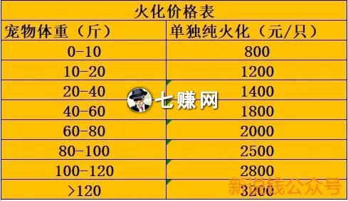 “宠物殡葬”怎么赚钱?