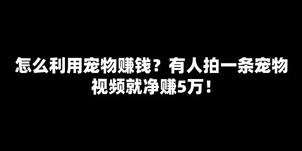 怎么利用宠物赚钱？有人拍一条宠物视频就净赚5万！
