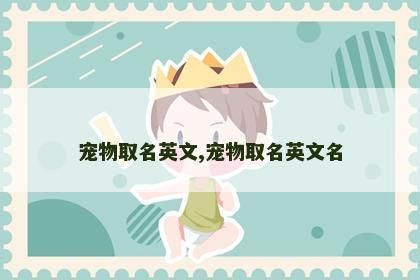 宠物取名英文,宠物取名英文名