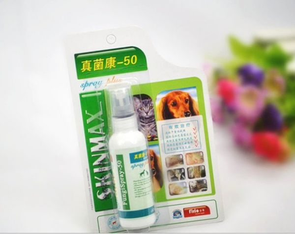 QQ图片20130701134419