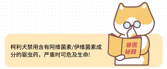 宠物外用驱虫药