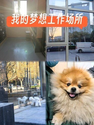 医术超赞 医心更美~