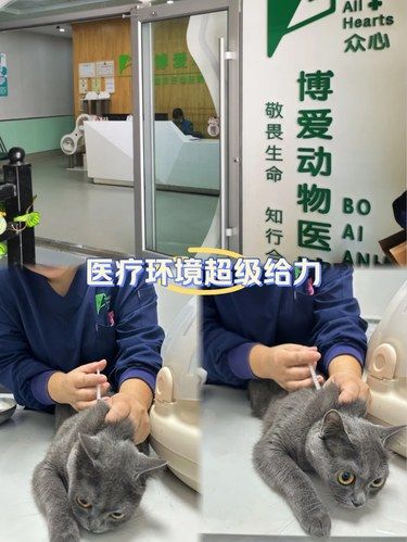 医术超赞 医心更美~