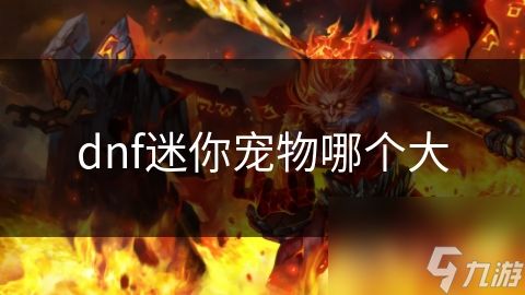 dnf迷你宠物哪个大