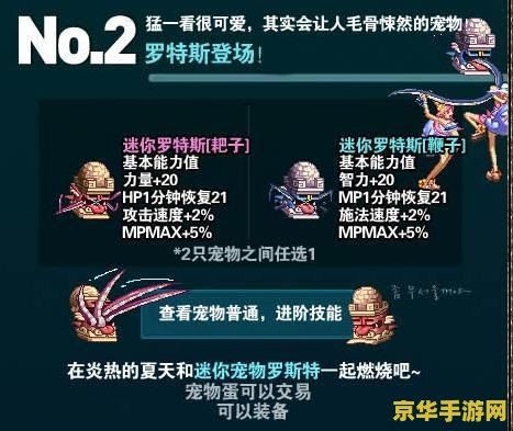 dnf迷你罗特斯1号 DNF迷你罗特斯1号：宠物、属性与游戏影响深度解析
