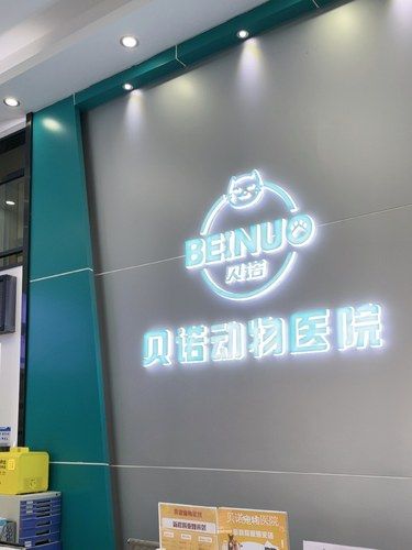 带猫咪洗澡的一天