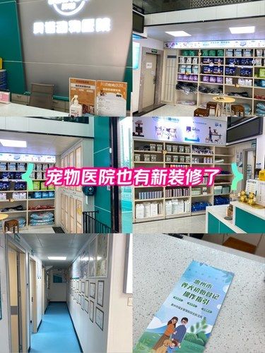 治疗室的放松时光