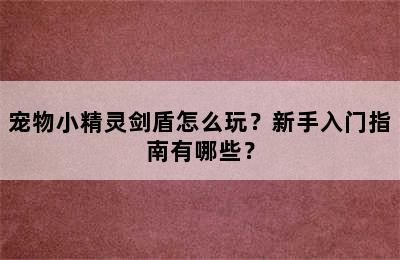 宠物小精灵剑盾怎么玩？新手入门指南有哪些？