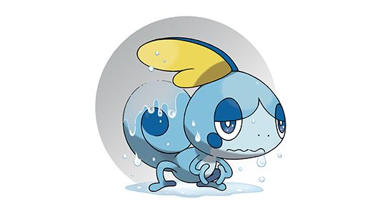 泪眼蜥图片3