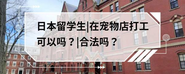 日本留学生|在宠物店打工可以吗？|合法吗？