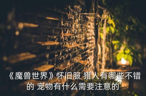 《魔兽世界》怀旧服 猎人有哪些不错的 宠物有什么需要注意的