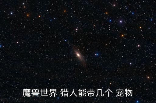 魔兽世界 猎人能带几个 宠物