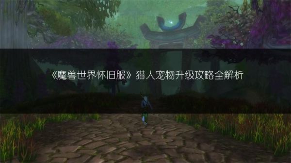 《魔兽世界怀旧服》猎人宠物升级攻略全解析