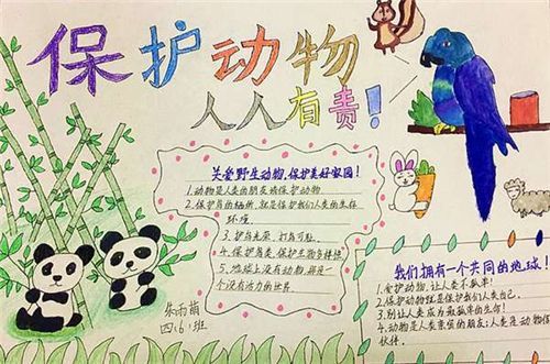 以我为动物代言为主题的手抄报爱为主题的手抄报