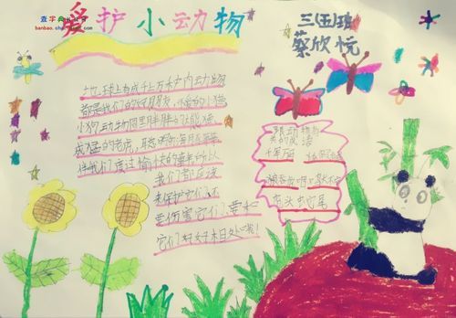 三年级爱护小动物手抄报设计|三年级爱护小动物手抄报图片 - 查字典