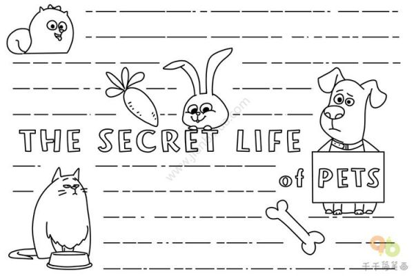 宠物的秘密生活手抄报thesecretlifeofpets