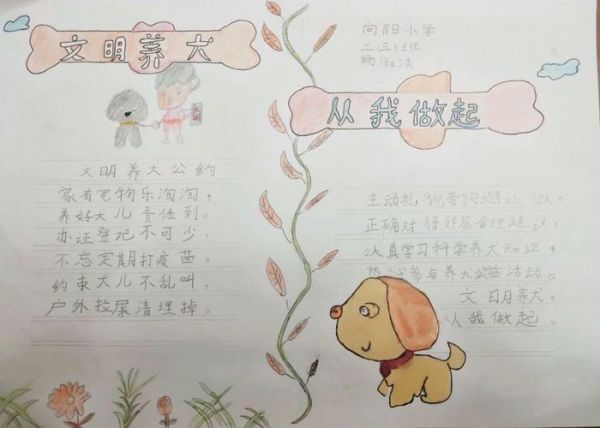 从我做起手抄报展示活动