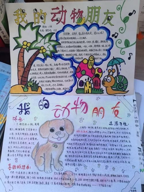 我们和动物朋友的手抄报 我们爱祖国手抄报