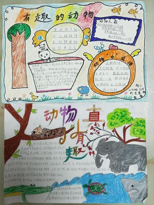 手抄报可爱的动物手抄报内容