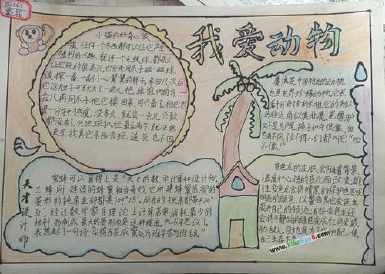 最喜欢的动物小兔子手抄报关于兔子的手抄报