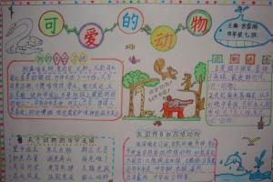 拯救动物的海报英文手抄报关于动物的手抄报