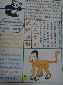 关爱流浪小动物的手抄报 关于动物的手抄报