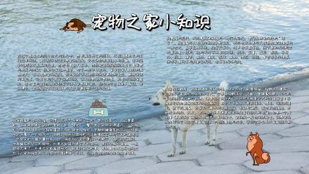 卡通宠物寄养宣传手抄报