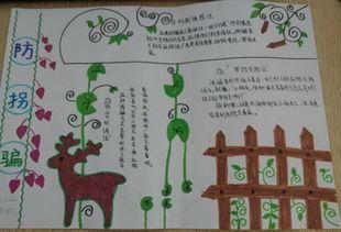 电影人生第一次手抄报 安全第一手抄报
