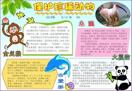 我国珍稀动物简单手抄报 动物手抄报