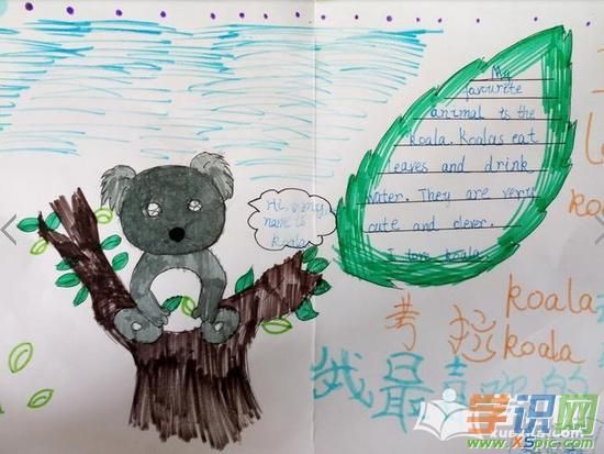 一种自然就的生物我们要爱护动物那么关于动物英语手抄报你会制作吗