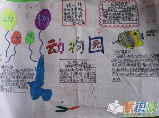 学识网 语文 手抄报 英语手抄报 动物是人类的朋友请爱护它吧