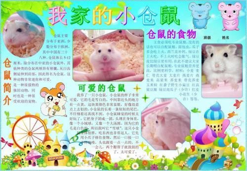 关于科技创新的手抄报a4纸竖版清明节手抄报传递亲情传承文化手抄报