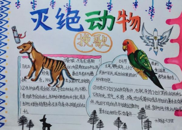 保护濒危动物手抄报简单漂亮