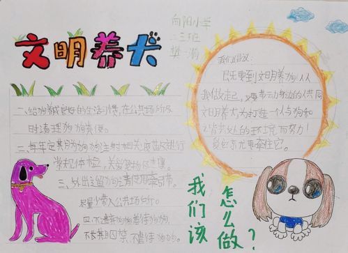 红旗区向阳小学二三中队开展文明养犬 从我做起手抄报展示活动