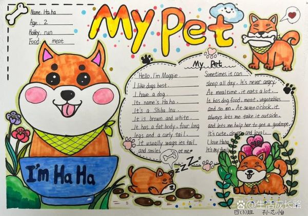 小学四年级mypet手抄报