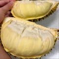 https://p0.meituan.net/userheadpicbackend/d37488cdd548241cad8dd6c5b280da29451256.jpg%40120w_120h_1e_1c_1l%7Cwatermark%3D0